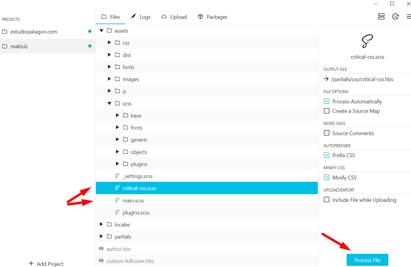 Click critical-css.scss and main.scss and Process File
